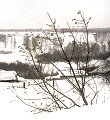 "Siberia As It Is" pic: Serge Tikhanoff